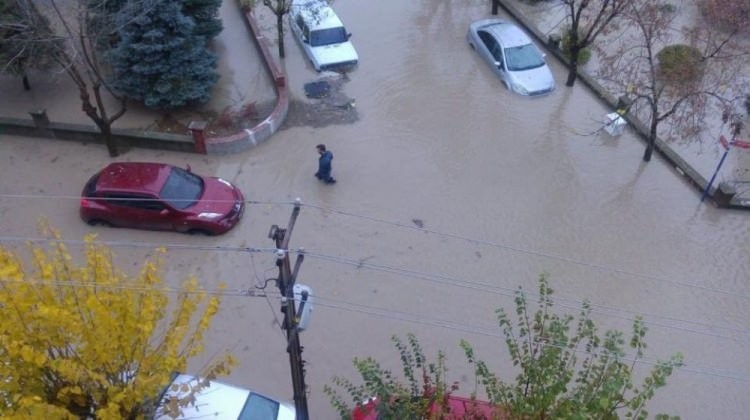 Edirne yağmura teslim oldu! Camlardan atladılar