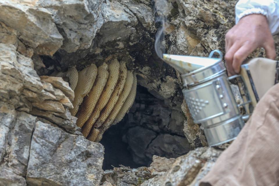 Kaya balına ulaşmak için tehlikeyi göze alıyorlar