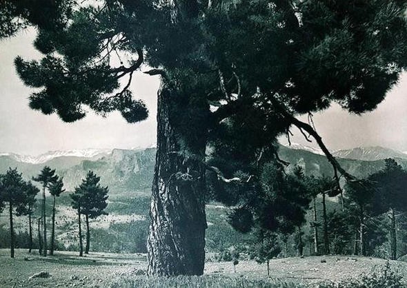 Atatürk’ün Türkiye’yi dünyaya tanıtmak için çektirdiği 20 fotoğraf