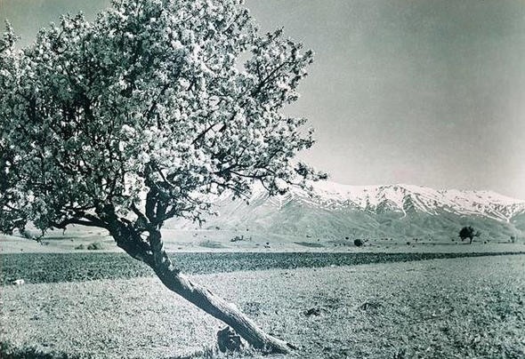 Atatürk’ün Türkiye’yi dünyaya tanıtmak için çektirdiği 20 fotoğraf