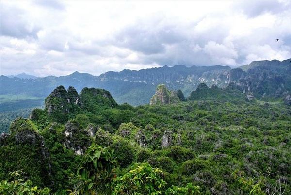 Borneo Adası'ndaki bir mağarada en eski hayvan resmi bulundu