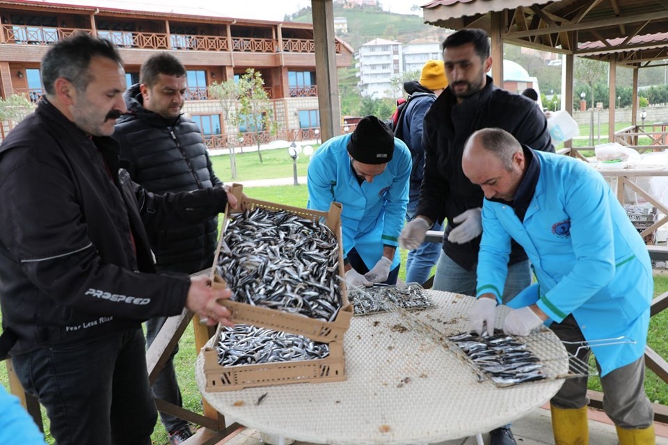 Üç ton hamsi iki saatte tükendi