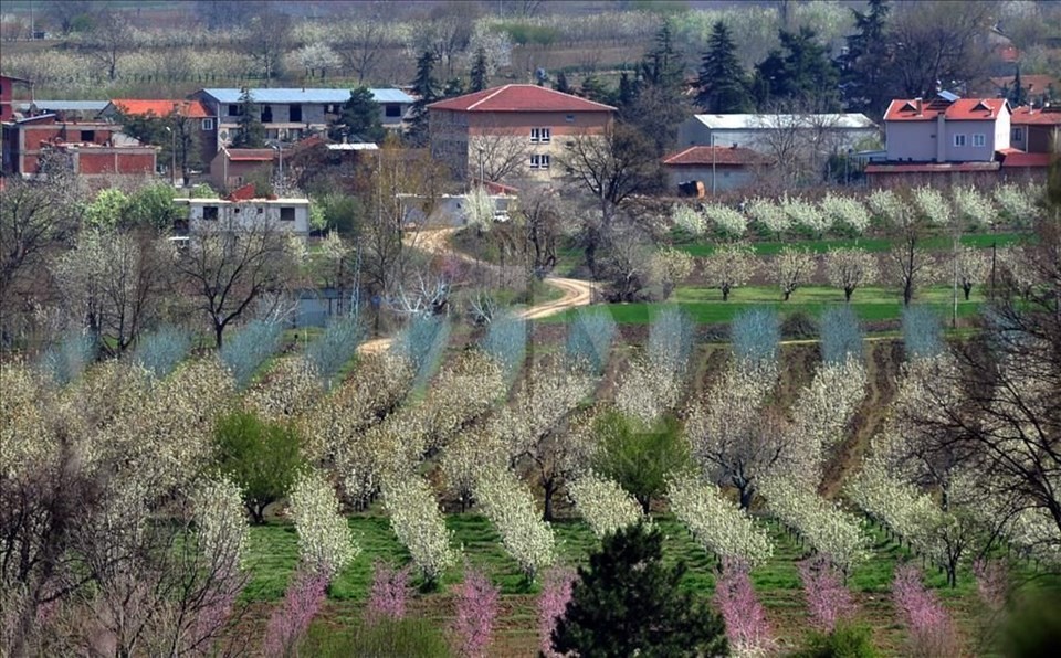 İşte 2018’in en sağlıklı kentleri! Listede Türkiye’den 4 şehir var