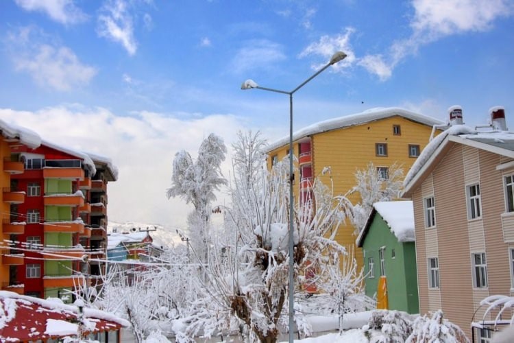 İstanbul'da en çok hangi memleketli yaşıyor?