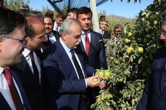 O köy için şehirden köye göç başladı!