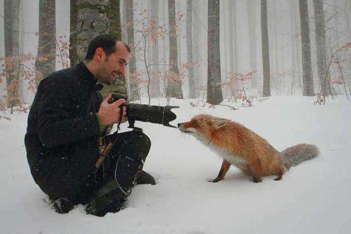 Vahşi doğa fotoğrafçılarının zor ve güzel anları