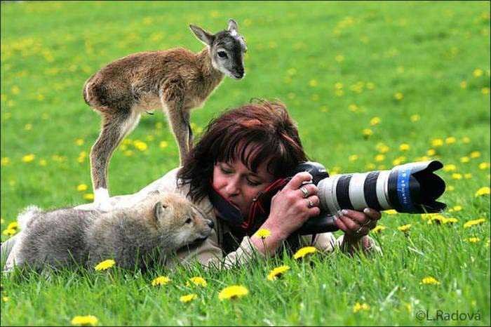 Vahşi doğa fotoğrafçılarının zor ve güzel anları