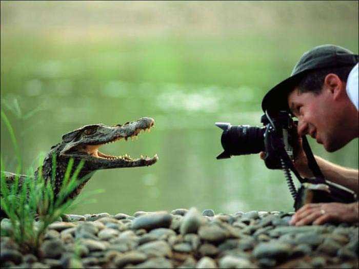 Vahşi doğa fotoğrafçılarının zor ve güzel anları