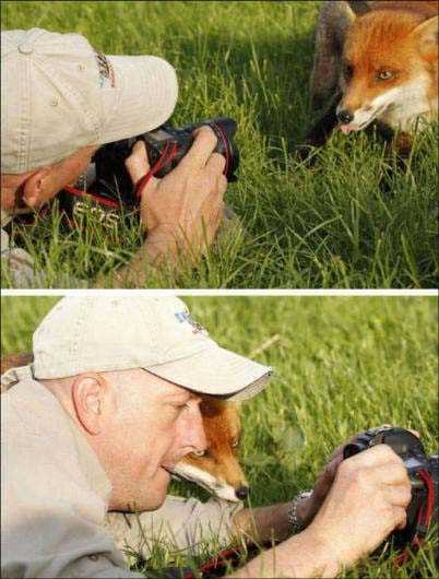 Vahşi doğa fotoğrafçılarının zor ve güzel anları