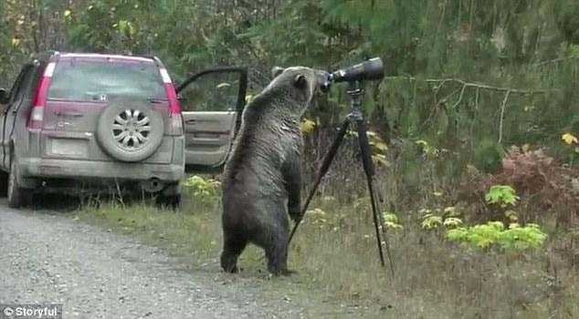 Vahşi doğa fotoğrafçılarının zor ve güzel anları