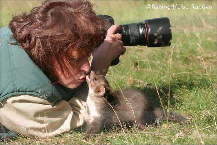 Vahşi doğa fotoğrafçılarının zor ve güzel anları