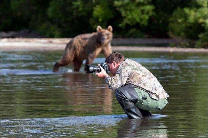 Vahşi doğa fotoğrafçılarının zor ve güzel anları