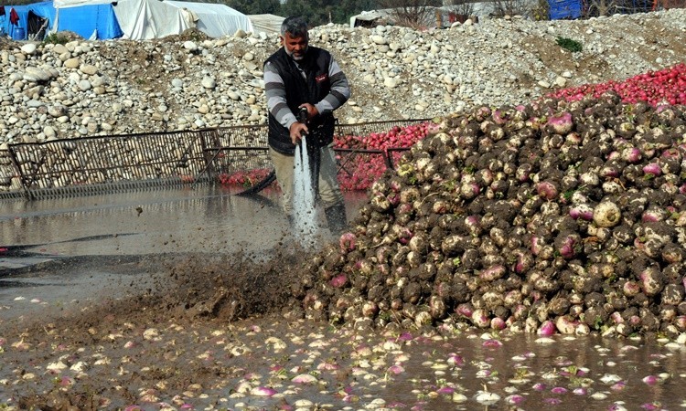 Buz gibi suda ekmek parası