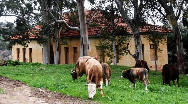 600 yıllık köyde yanlızca 2 kişi yaşıyor 