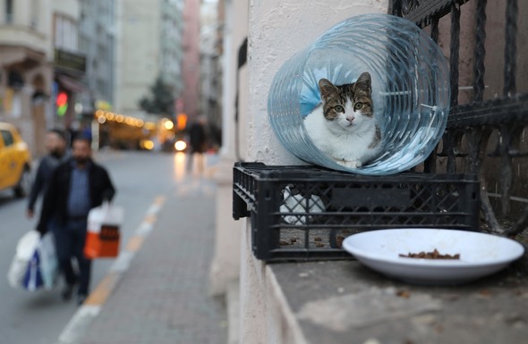 Dünyaca ünlü fotoğraf sanatçısı İstanbul'da