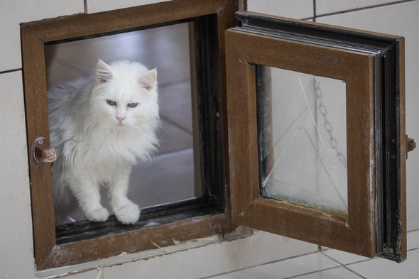 Dünyaca ünlü fotoğraf sanatçısı İstanbul'da