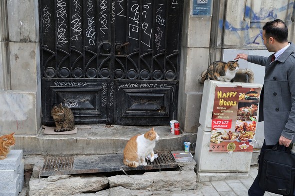 Dünyaca ünlü fotoğraf sanatçısı İstanbul'da