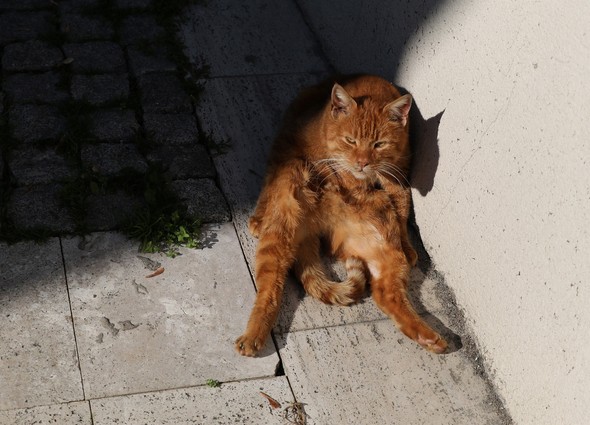 Dünyaca ünlü fotoğraf sanatçısı İstanbul'da