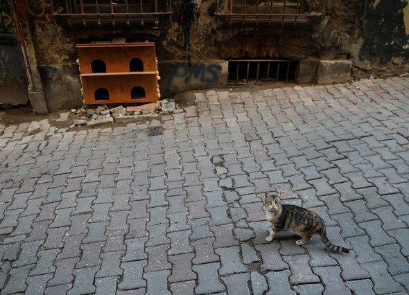 Dünyaca ünlü fotoğraf sanatçısı İstanbul'da