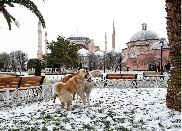 Baharın ilk gününde Mart kapıdan baktırdı