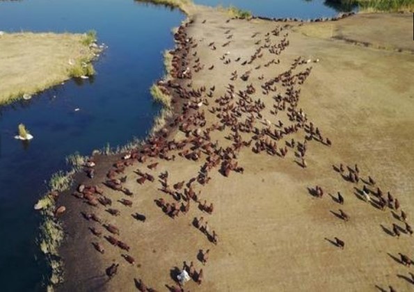 Ağrı Dağı'ndaki kar ve buzların erimesi görenleri büyüledi.