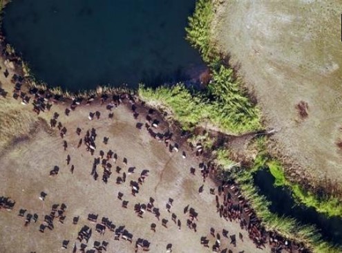 Ağrı Dağı'ndaki kar ve buzların erimesi görenleri büyüledi.