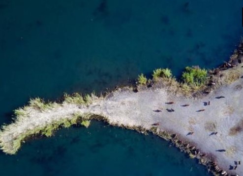 Ağrı Dağı'ndaki kar ve buzların erimesi görenleri büyüledi.