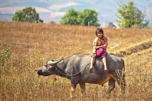 Bu köprüleri görenler çok şaşırıyor!