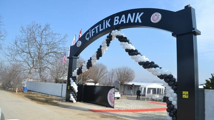 İşte 6 soruda Çiftlik Bank dolandırıcılığı