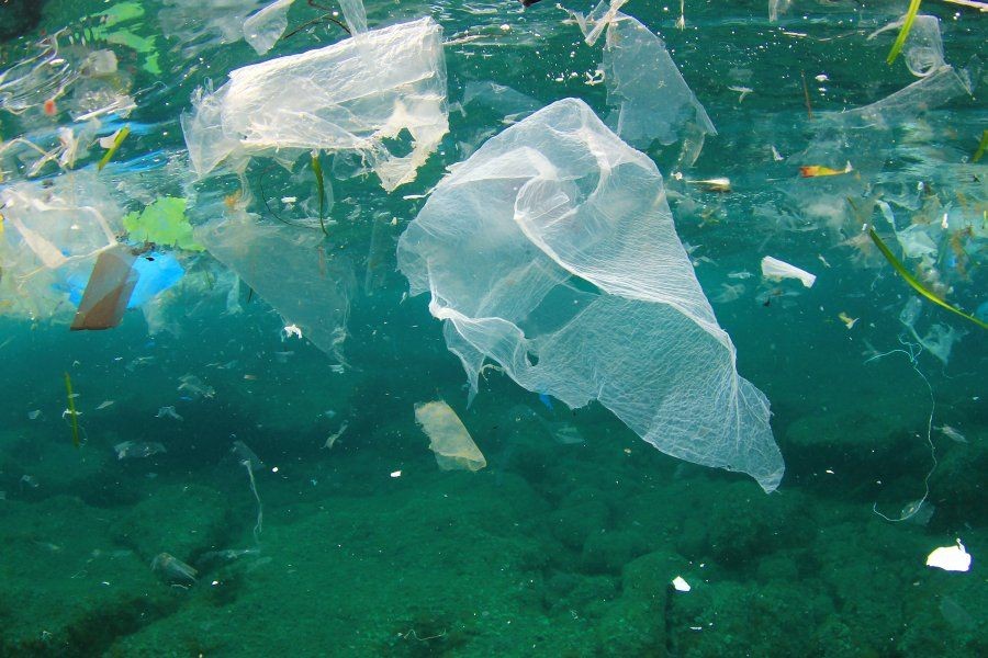 Hayatımızın içinde olan mikroplastik ne kadar tehlikeli!