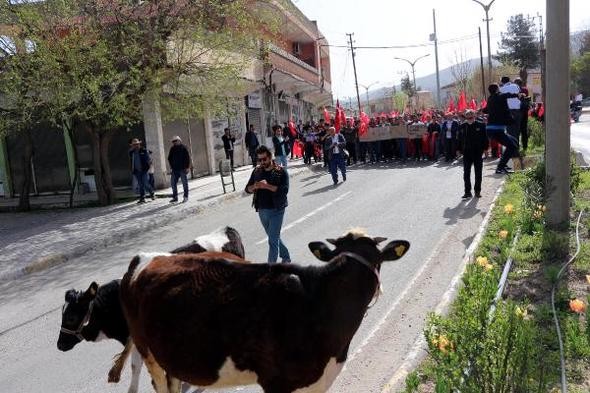 Tahliye kararıyla ortalık karıştı