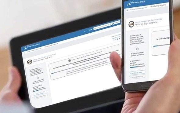  İşte e-Devlet ile sağlanan yeni hizmetlerin tamamı..