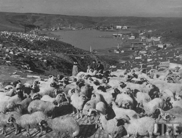 Avusturya'da İstanbul'un 100 yıllık fotoğrafları ortaya çıktı