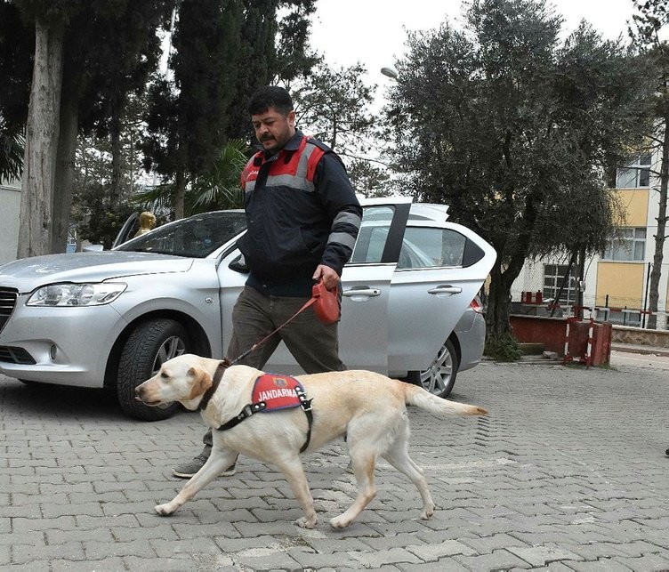 Operasyon da ele geçrildi! Piyasa değeri 10 milyon TL