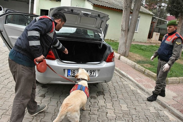 Operasyon da ele geçrildi! Piyasa değeri 10 milyon TL