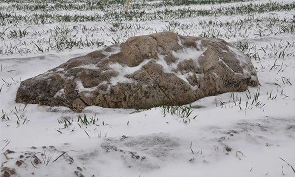 78 bin kişi 200 bin eser gönderdi! Çin'in garip yüzü