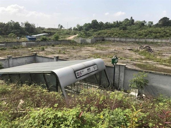 78 bin kişi 200 bin eser gönderdi! Çin'in garip yüzü