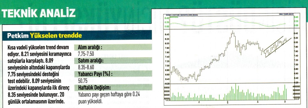 17 hisselik teknik analiz