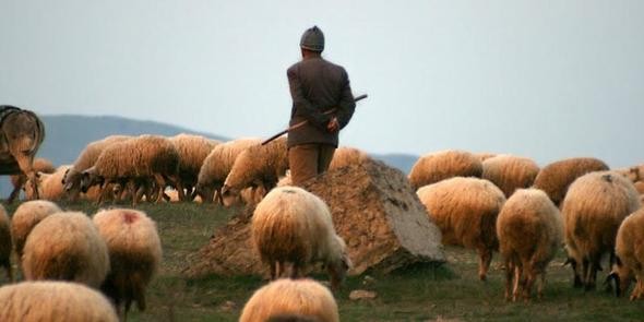 İşte en çok aldatan meslekler...