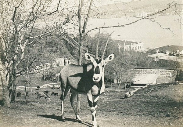 Eski İstanbul fotoğrafları 