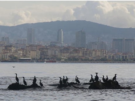 İstanbul'un bilinmeyen adaları