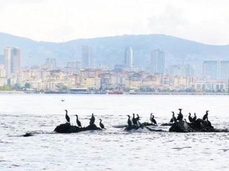 İstanbul'un bilinmeyen adaları