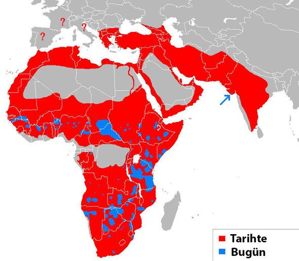 Türkiye'yi ilgilendiren 20 harita