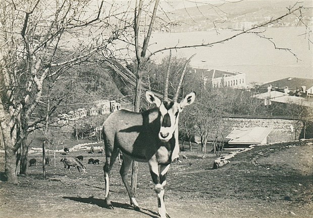 Eski İstanbul fotoğrafları