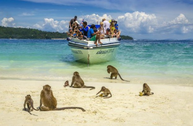 Dünyanın en ünlü plajı turiste kapatılıyor