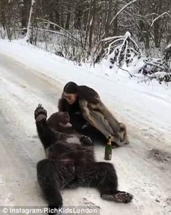 Öfke kustular! Görgüsüzlüğün bu kadarı, ayıyı bayıltıp...