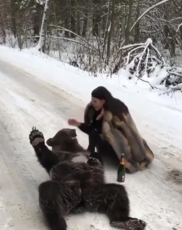 Öfke kustular! Görgüsüzlüğün bu kadarı, ayıyı bayıltıp...