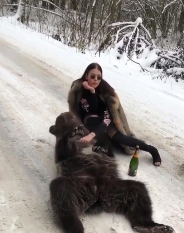 Öfke kustular! Görgüsüzlüğün bu kadarı, ayıyı bayıltıp...