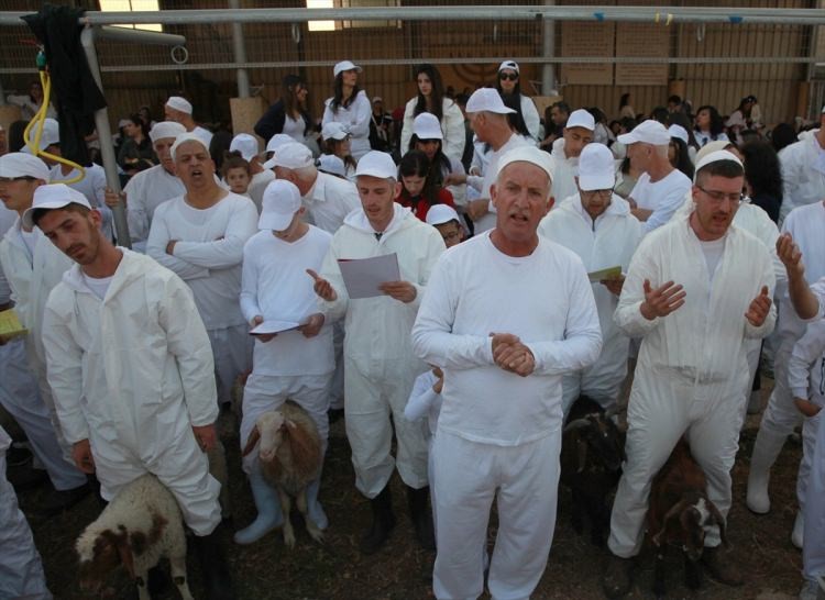 Samiri Yahudileri Hamursuz Bayramı'nı kutladı