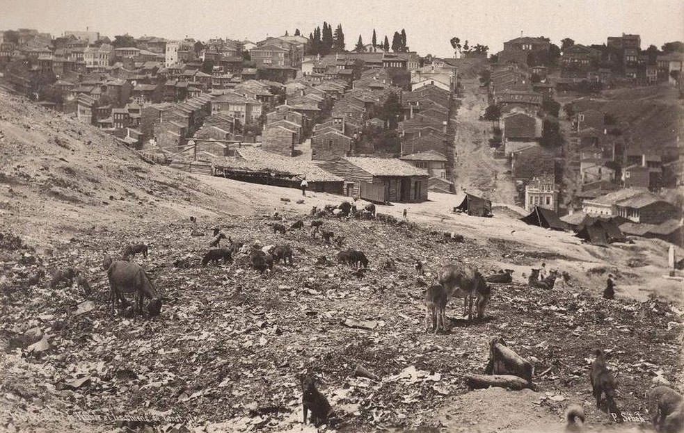 İşte Türkiye'nin il il eski fotoğrafları